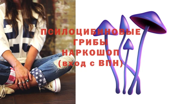 МДПВ Абаза