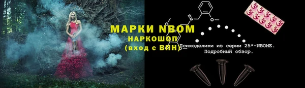 МДПВ Абаза