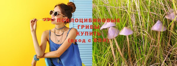 а пвп мука Алзамай