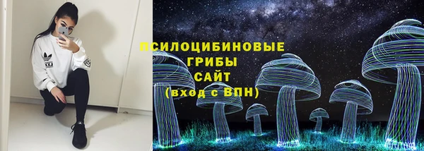 молекула духа Алексин