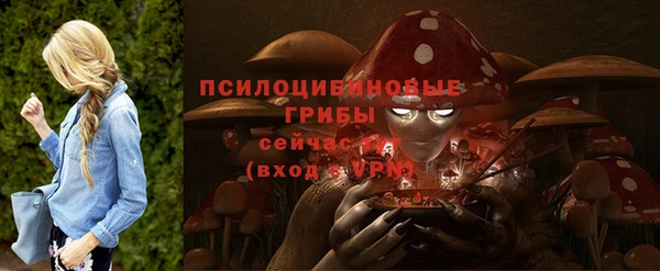 МДПВ Абаза