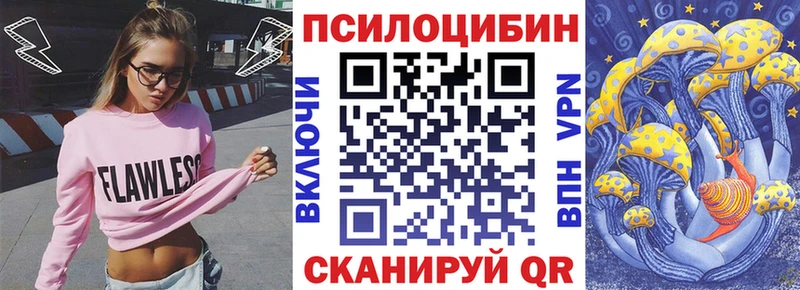 KRAKEN как войти  Талица  Псилоцибиновые грибы Psilocybine cubensis  продажа наркотиков 